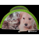 VENTAGLIO ALBANIO IN LEGNO DECORATO A MANO CANI E GATTI
